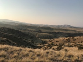 hills from a run